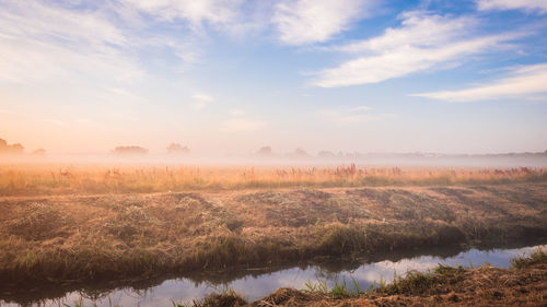 Scenic view of field against sky