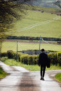 Rear view of man walking on road amidst field