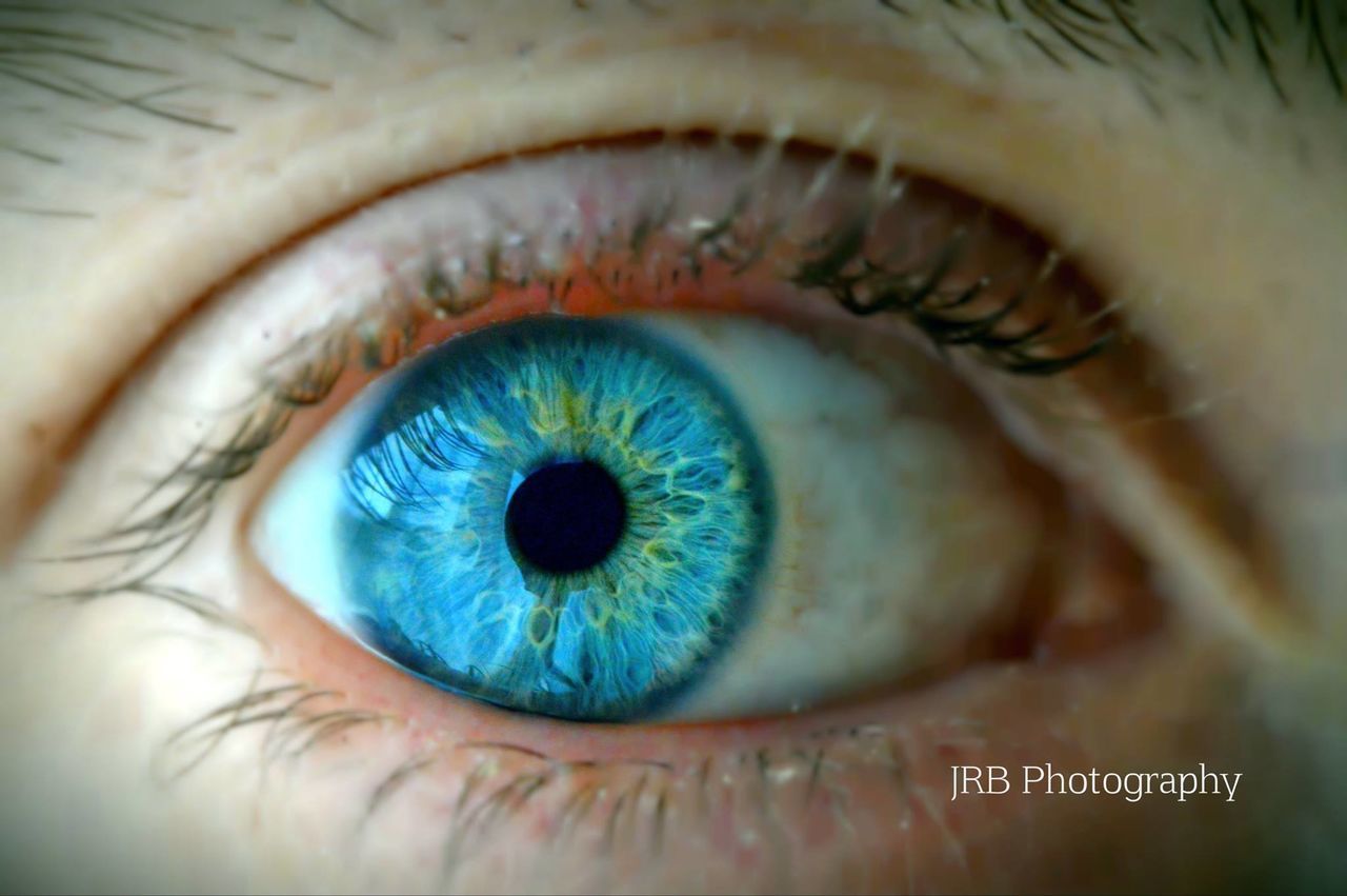 human eye, eyesight, eyelash, close-up, sensory perception, extreme close-up, iris - eye, part of, eyeball, extreme close up, human skin, full frame, selective focus, unrecognizable person, indoors, vision, macro