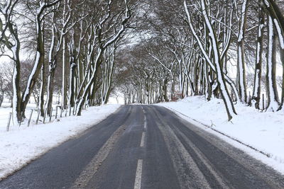 Road amidst bare trees during winter