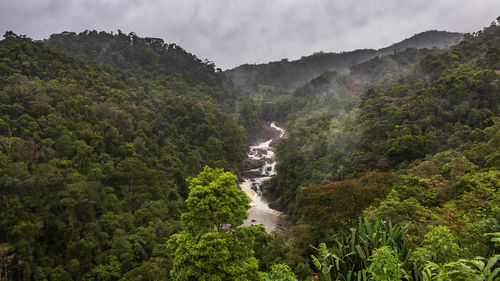 Rain forest landscape, ranomafana, madagascar