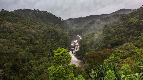 Scenic view of waterfall in forest against sky