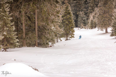 Scenic view of snow covered landscape