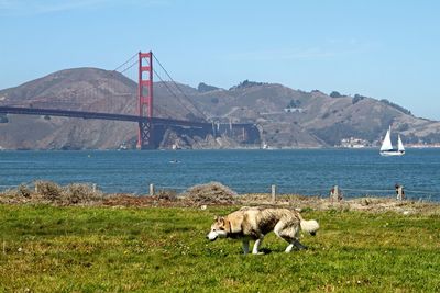 View of golden gate bridge against sky