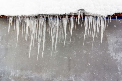 Close-up of icicles on roof