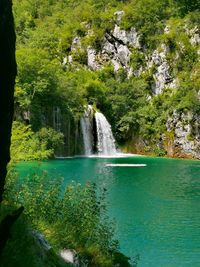 Scenic view of waterfall in forest