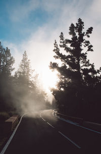 Road by trees against sky