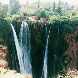 Scenic view of waterfall in forest