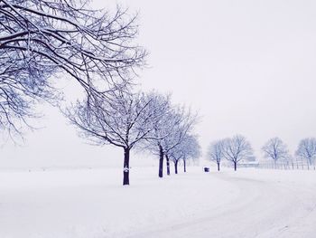 Bare trees on snow covered field against sky during winter