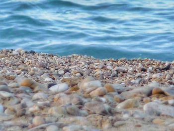 Surface level of pebble beach