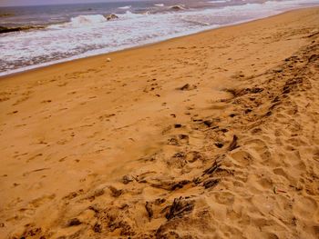 High angle view of footprints on sand at beach