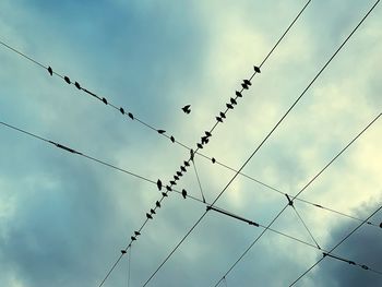 Low angle view of birds flying against sky