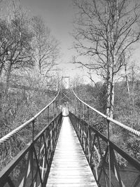 Bridge amidst trees against sky