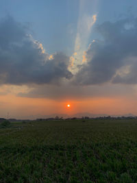 Scenic view of field against sky during sunset