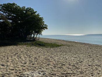 Scenic view of beach against clear sky