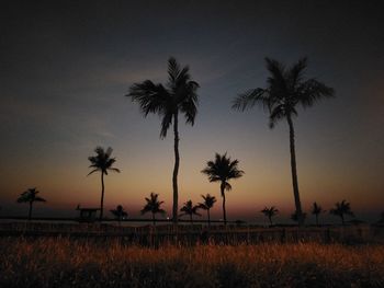 Silhouette palm trees on field against sky at sunset