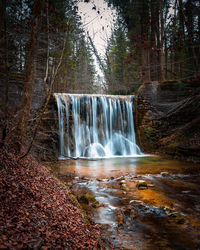 Waterfall in forest