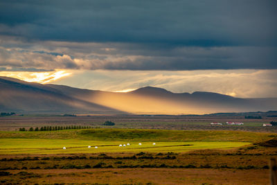 Scenic view of field against sky during sunset