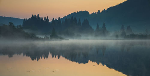 fog