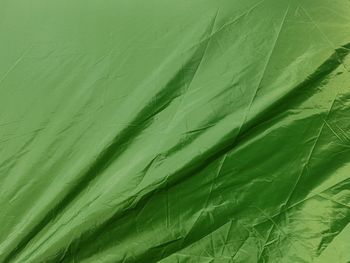 Full frame shot of green leaves