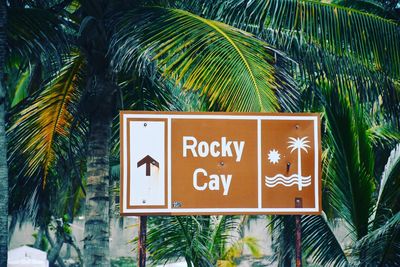 Close-up of information sign by palm trees