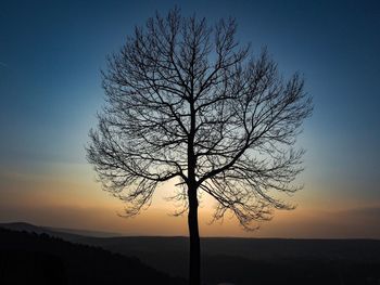 Silhouette bare tree on field against sky at sunset