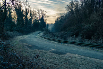 Road amidst trees against sky