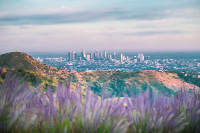 Panoramic view of city buildings against sky