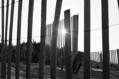 Sun shining through fence