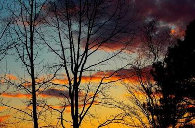 Silhouette of bare trees against sky at sunset