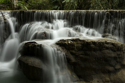 Scenic view of waterfall in forest