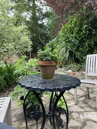 Potted plants on table in garden