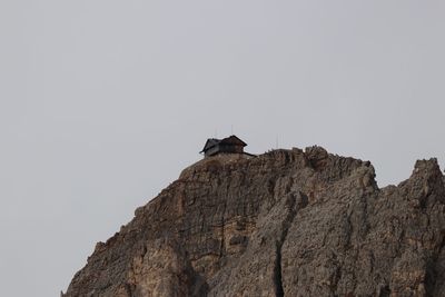 Low angle view of bird perching on cliff against clear sky