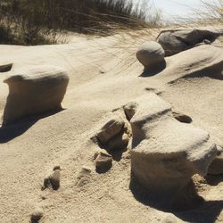 View of sand dunes in desert