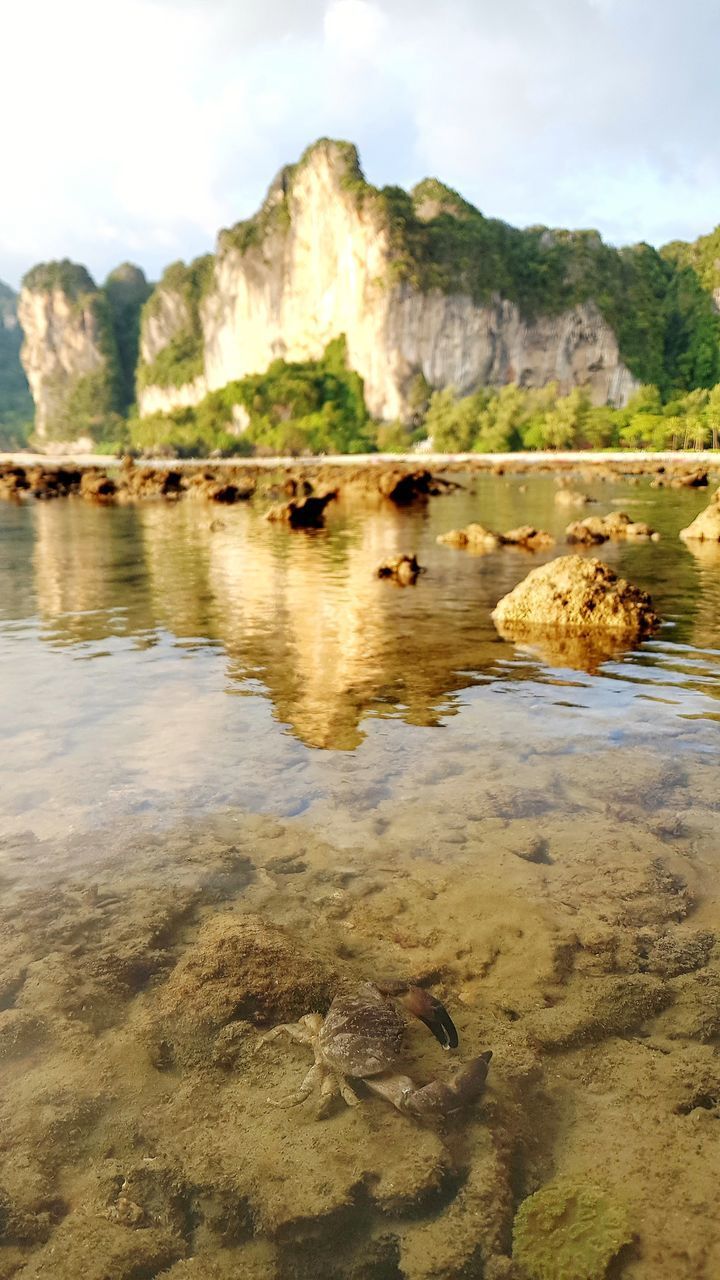 SCENIC VIEW OF ROCKS IN LAKE