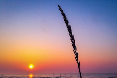 Scenic view of sunset over sea