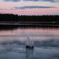 Scenic view of lake against sky during sunset