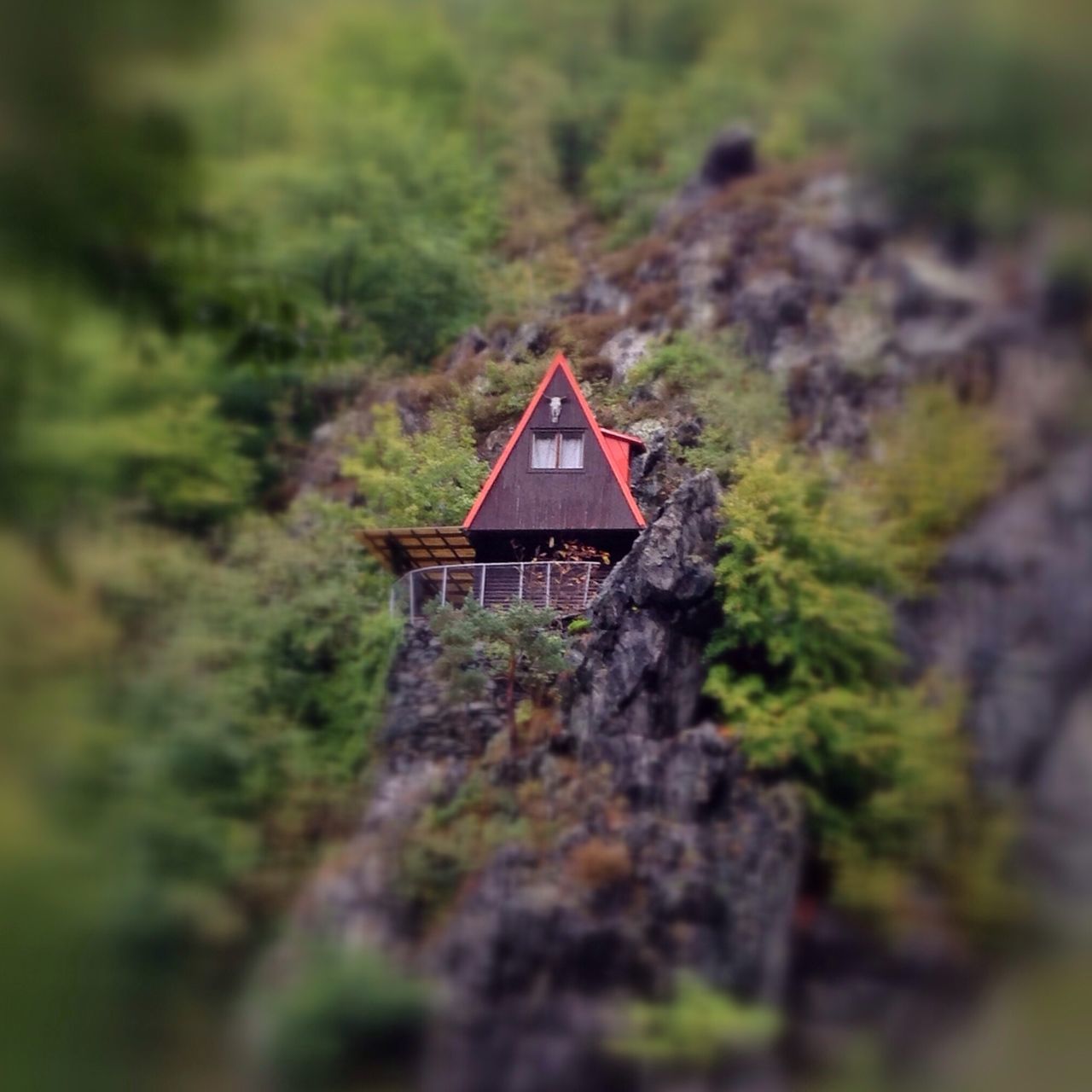 tree, selective focus, built structure, green color, architecture, mountain, growth, nature, forest, plant, rock - object, moss, tranquility, building exterior, focus on foreground, tranquil scene, landscape, lush foliage, beauty in nature, house