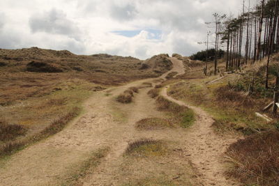 Scenic view of landscape against cloudy sky