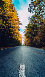 Surface level of empty road along trees