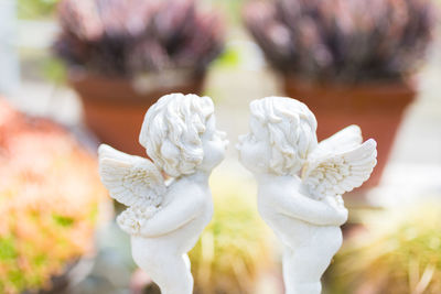 Close-up of white flowering plant