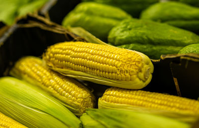 Close-up of vegetables for sale in market