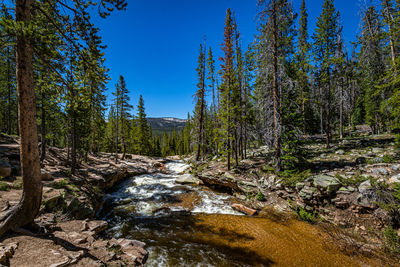 Stream flowing through rocks in forest against clear blue sky