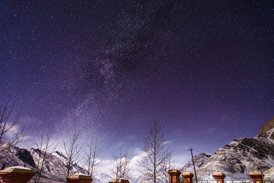 Low angle view of trees and mountain against starry sky at night