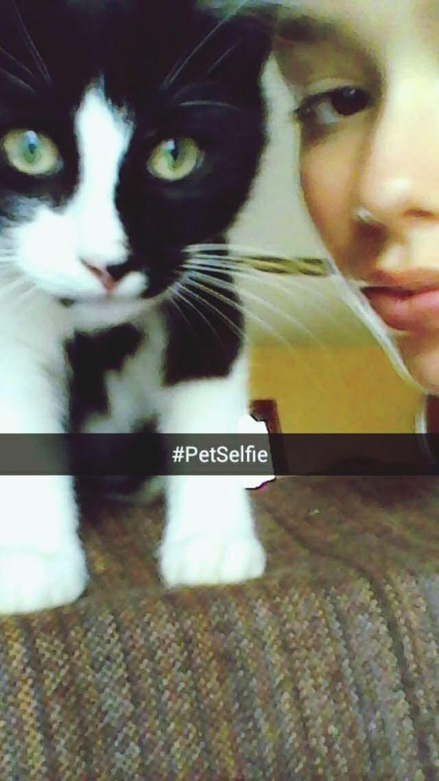 Pet selfie