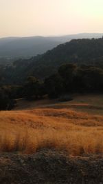 Scenic view of landscape against sky during sunset