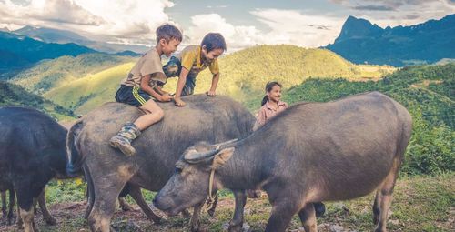 Group of people on mountain road