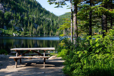 Empty bench by lake in forest