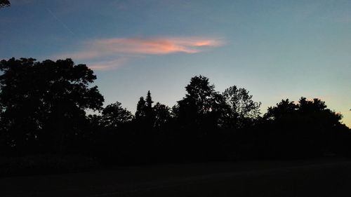 Silhouette trees against sky during sunset