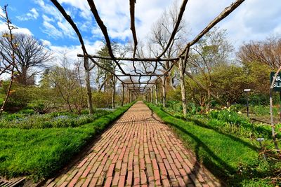 Footpath passing through field